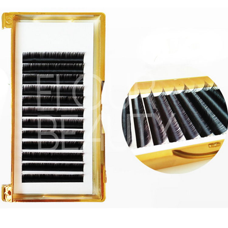 gold tray best quality camellia lashes extension China supplies.jpg